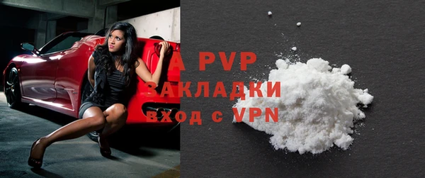 стаф Алагир