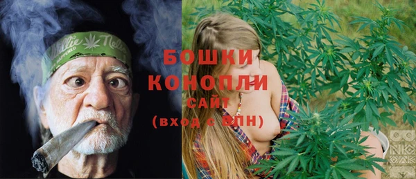 МДПВ Михайлов