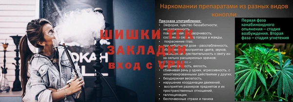 меф Мегион