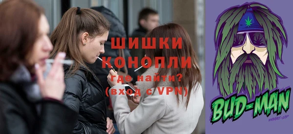 МДПВ Михайлов