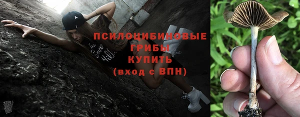 меф Мегион