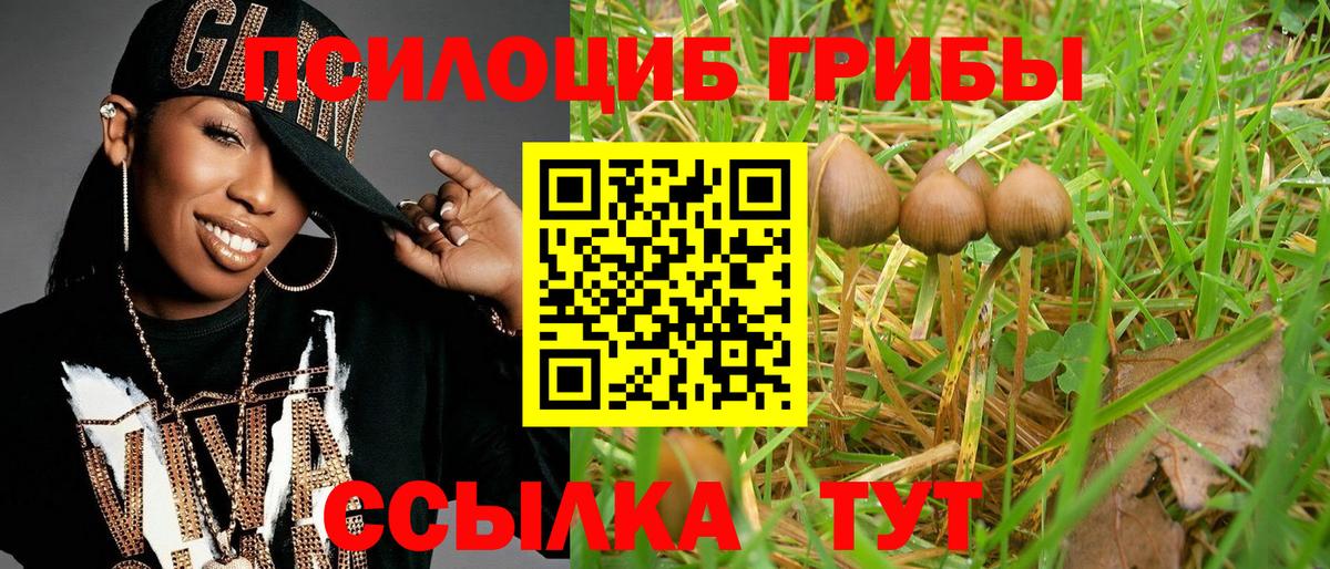 Псилоцибиновые грибы Magic Shrooms  Галлюциногенные грибы ЛСД  Баксан 