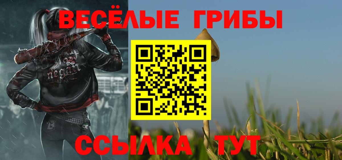 Галлюциногенные грибы Cubensis  Галлюциногенные грибы MAGIC MUSHROOMS  Баксан  Вход с VPN 